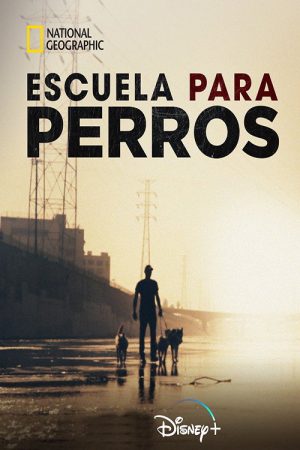 Escuela para perros (2019) poster