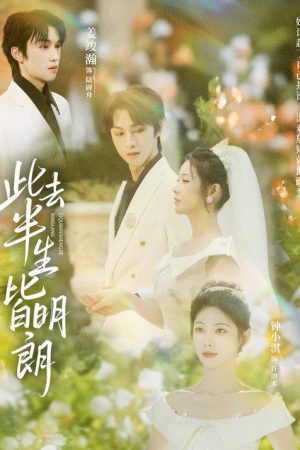 此去半生皆明朗 (2026) poster