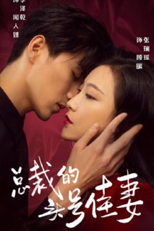 总裁的头号佳妻 (2021) poster