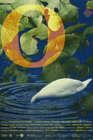 o (2026) poster