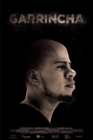 Garrincha (2017) poster
