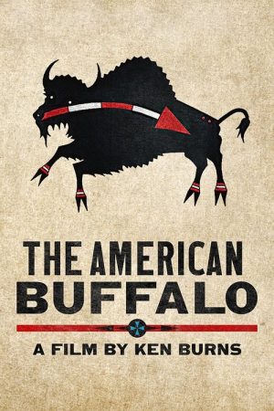The American Buffalo (2023) poster