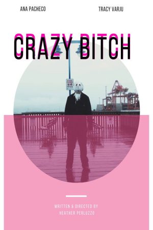Crazy Bitch (2018) poster