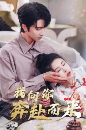 我向你奔赴而来 (2025) poster