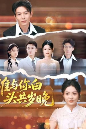 谁与你白头共岁晚 (2025) poster