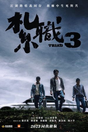 Triad 3 (2024) poster