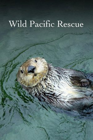 Wild Pacific Rescue (2021) poster