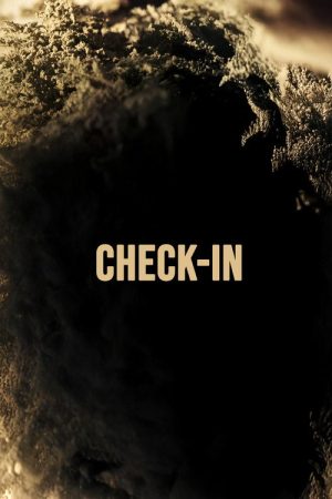 Check-in (2024) poster
