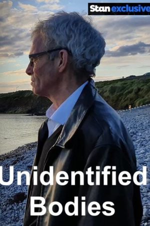 Ireland’s Unidentified Bodies (2021) poster