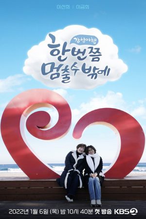 한 번쯤 멈출 수밖에 (2022) poster
