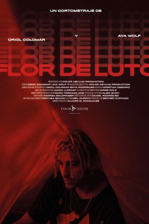 Flor de Luto (2020) poster