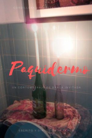 Paquidermo (2018) poster