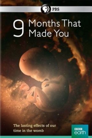 9 Months That Made You (2016) poster