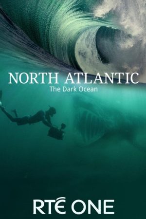 North Atlantic: The Dark Ocean (2023) poster