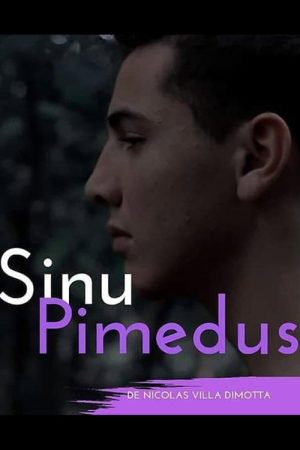 Sinu Pimedus (2019) poster