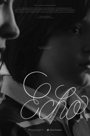 Echo (2025) poster