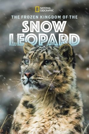 The Frozen Kingdom of the Snow Leopard (2020) poster