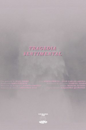A Sentimental Tragedy (2025) poster