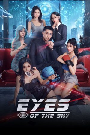 Eyes of the Sky (2026) poster
