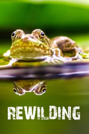 Rewilding (2017) poster