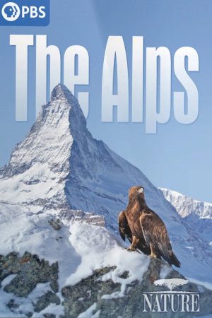 The Alps (2021) poster