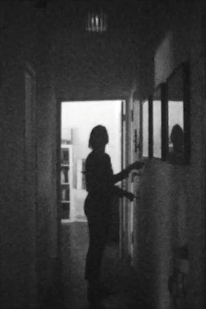 APERTURE/CORRIDOR (2021) poster