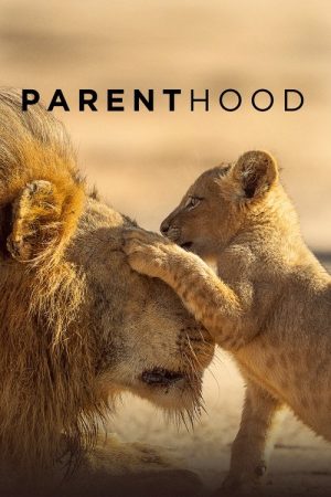 Parenthood (2025) poster