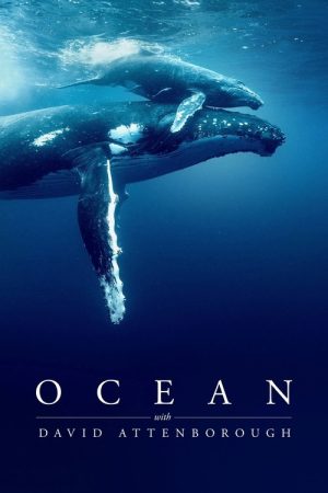 Ocean with David Attenborough (2025) poster