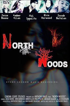 North Woods (2016) poster