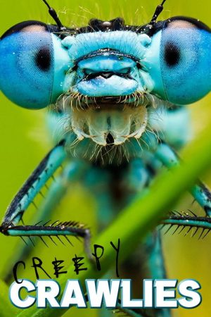 Creepy Crawlies (2022) poster