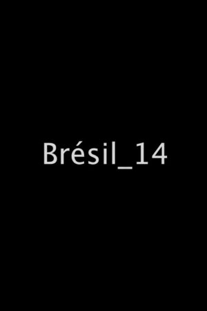 Brazil_14 (2017) poster