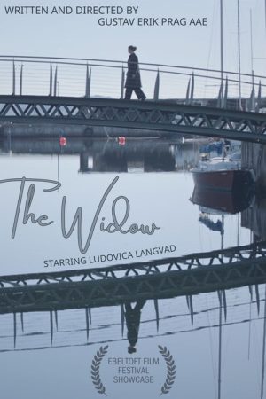 The Widow (2025) poster