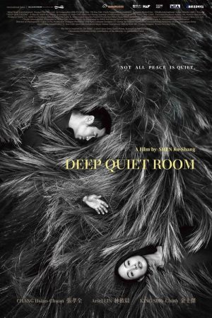 Deep Quiet Room (2026) poster