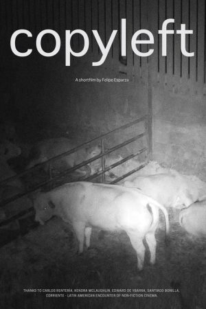 Copyleft (2021) poster