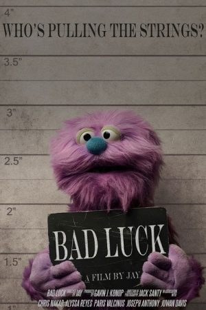 Bad Luck (2025) poster