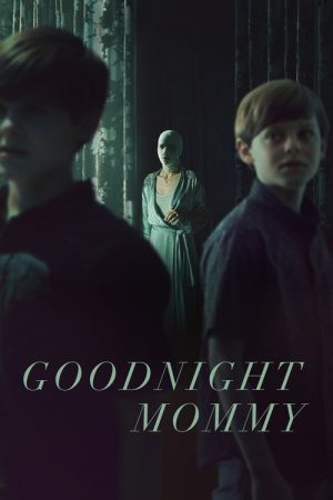 Goodnight Mommy (2022) poster