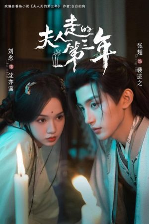 夫人走的第三年 (2026) poster