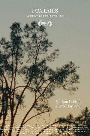 Foxtails (2025) poster