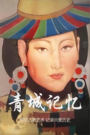 青城记忆 (2017) poster