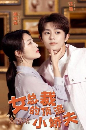 女总裁的顶流小娇夫 (2023) poster