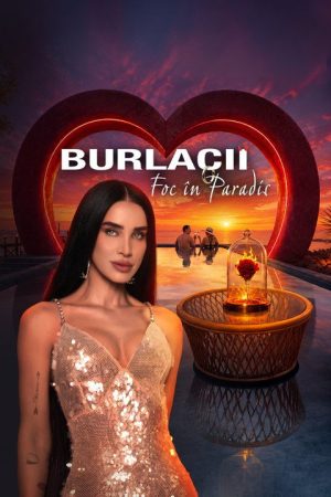 Bachelors: Fire in Paradise (2026) poster