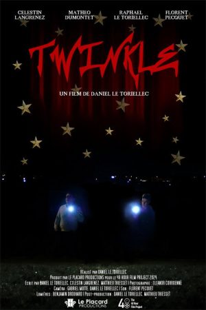 Twinkle (2024) poster