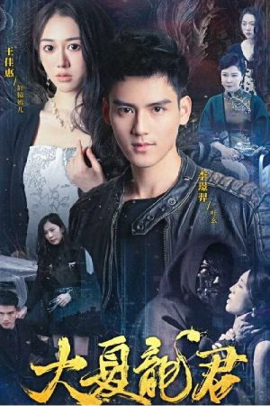 大夏龙君 (2023) poster