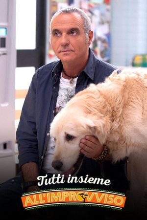 Tutti insieme all’improvviso (2016) poster
