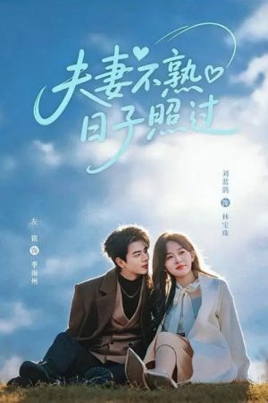夫妻不熟，日子照过 (2026) poster