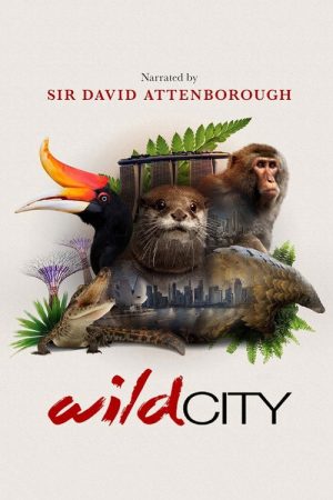 Wild City (2016) poster