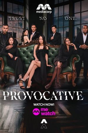 Provocative (2025) poster