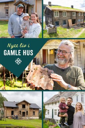 Nytt liv i gamle hus (2025) poster