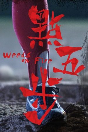 Weeds on Fire (2016) poster