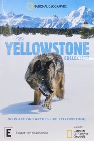 The Yellowstone Collection (2020) poster